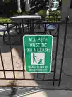 pets allowed
