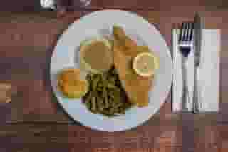 Catfish Meal