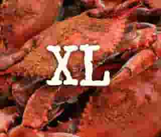 One Dozen Steamed Crabs - XL