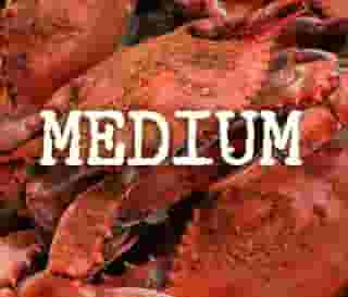 One Dozen Steamed Crabs - Medium