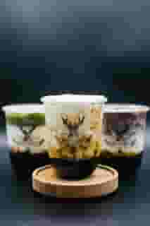 coffees