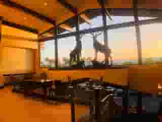 new Santa Ana Elks lodge 794