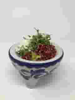Pomegranate Guacamole