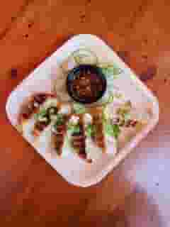 Potstickers