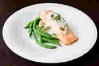 Salmon