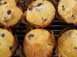 muffins