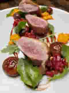SEARED DUCK