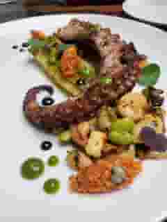OCTOPUS