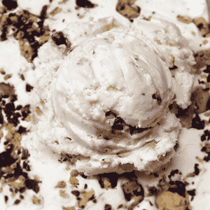 turtle ice cream