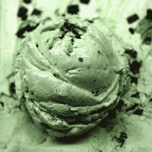 mint chocolate chip