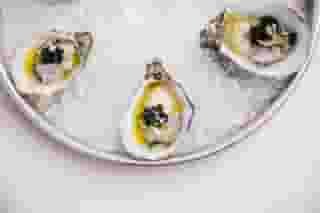 Fresh Oysters