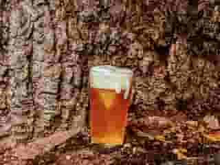 Annie's Amber Ale Brew