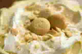 banana pudding