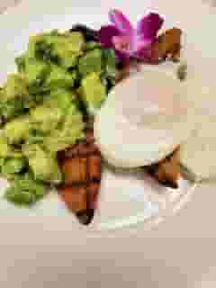 Poached Egg & Avocado