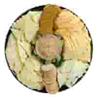 Cracker Cut Cheese Platter