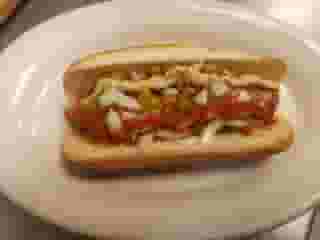 Boston Dog
