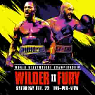 wildervs fury