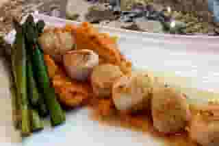 shrimp