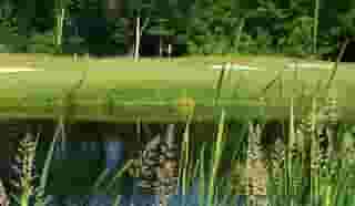 golf course