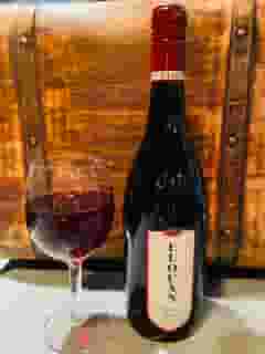 Elouan "Oregon" Pinot Noir
