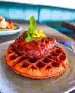 Chicken & Waffle