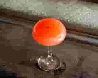 Pink Paloma