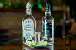 shots