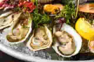Oysters on the Half Shell*