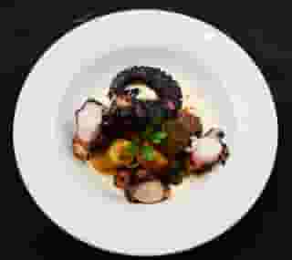 PULPO