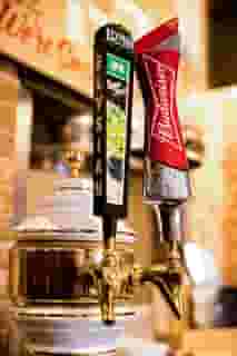 beer on tap