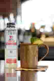 Washington Mule