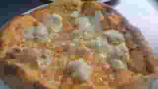 Buffalo chicken