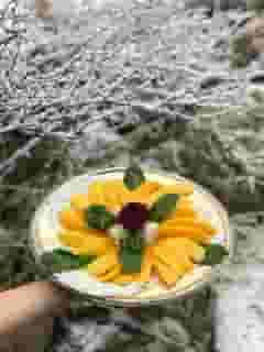 Mango Slices