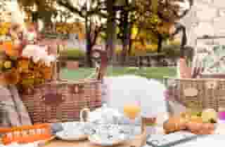 Proposal Picnic