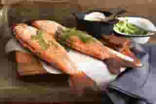 Trout