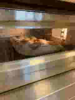 Bread