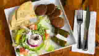 Falafel Patties Plate
