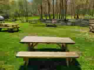 The Backyard