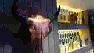 Horns