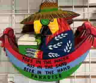 parrot sign