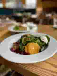 Beet & Burrata Salad