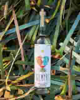 Sotol por Siempre