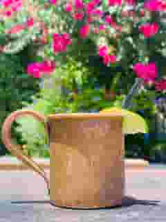 Watermelon Mule
