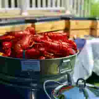 lobster natalie