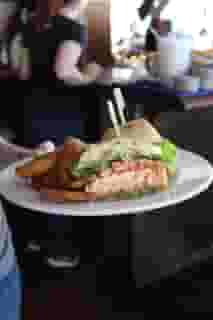 Salmon Sandwich
