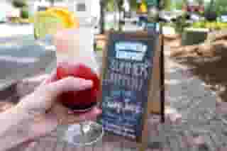 SWAMP JUICE