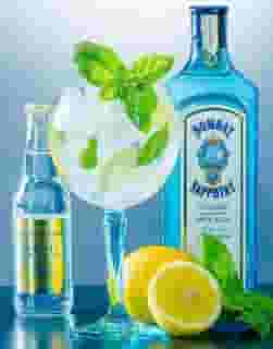 Sorrentine Collins