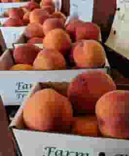 peaches