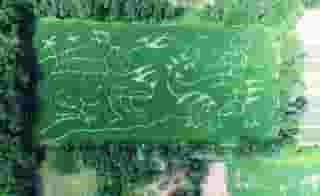 dinosaur maze