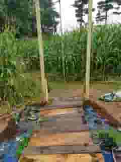 wooden walkway